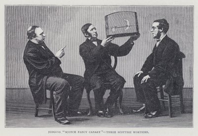 "Scotch Fancy Canary", Üç İskoç Değerini Yargılamak by European School