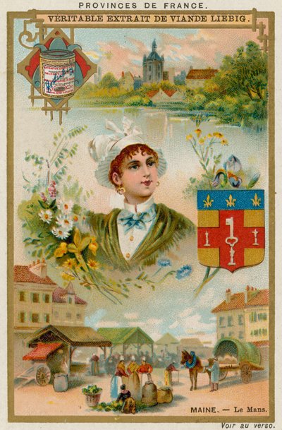 Maine by European School