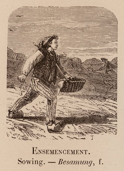 Örnek Kelime: Ekim; Ekme; Besamung (gravür) by European School