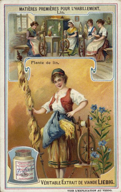 Keten: keten bitkisi by European School