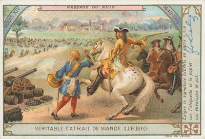 Louis XIV Ren Nehri