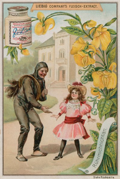 Mimoza by European School