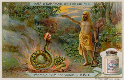 Nala Yılan Naga Karkotaka