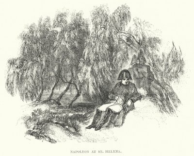 Napolyon, St Helena