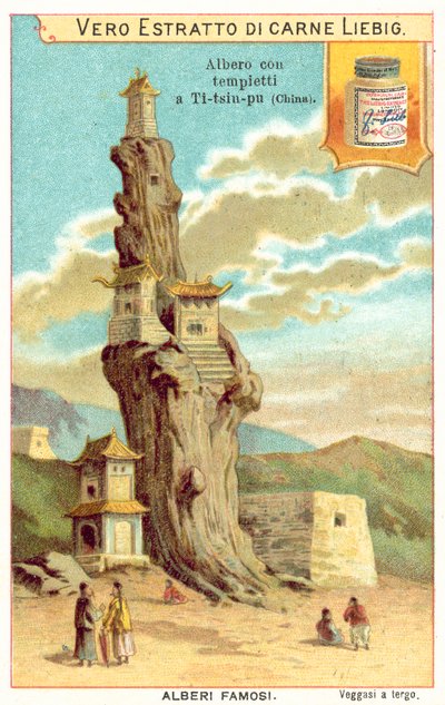 Çin