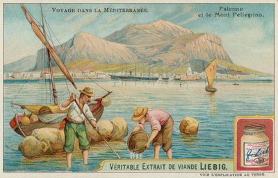 Palermo ve Pellegrino Dağı by European School