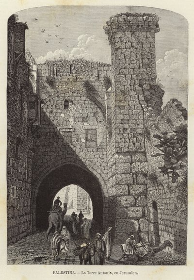 Filistin, Antonia Kulesi, Kudüs by European School