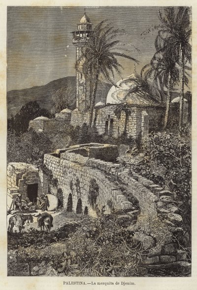 Filistin, Djenim Camii by European School