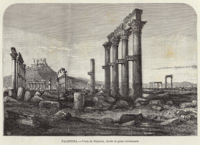 Filistin, Palmyra