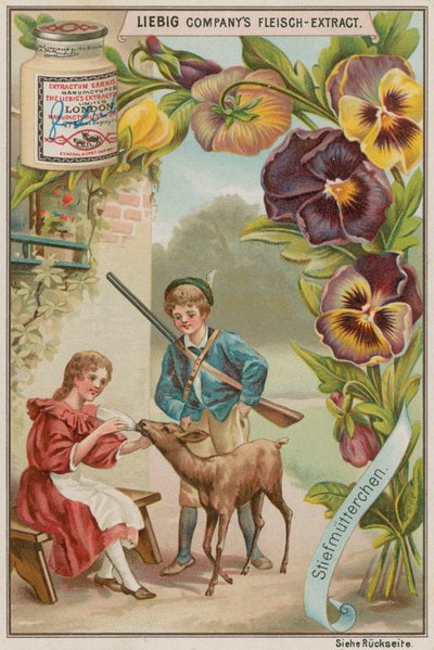 hercai menekşe by European School