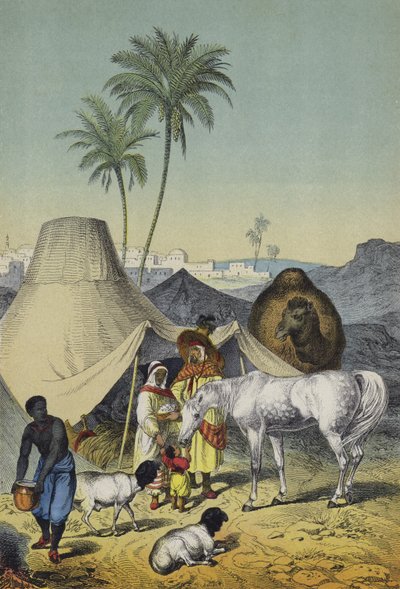 Kuzey Afrika ve Arabistan