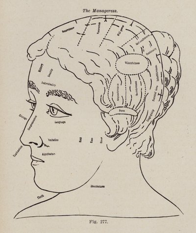 Phrenology, A Manageress (üyeler) by European School