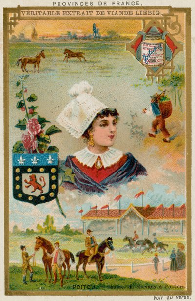 poitou by European School