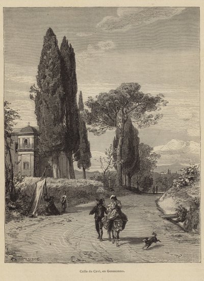 Cavi