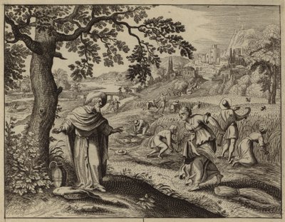 Ruth, tarlasında ot toplarken Boaz