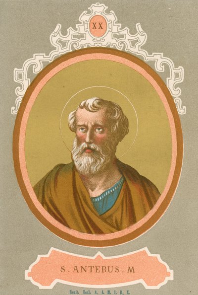 S Anterus M by European School