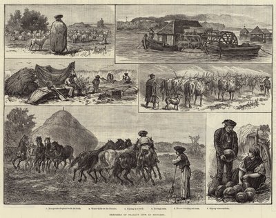Macaristan'da Köylü Yaşamının Eskizleri (gravür) by European School