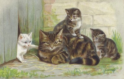 Üç yavrusu olan tekir kedi (chromolitho) by European School