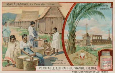 Hova Ülkesi: Pirinç Satan Kadınlar, Antananarivo