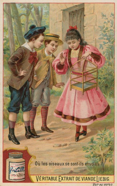 Kayıp Kuşlar by European School