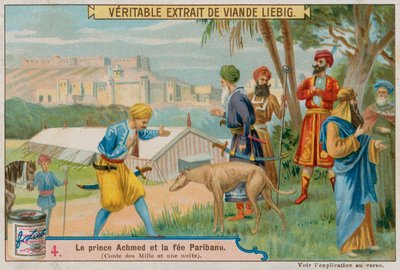 Üç Prens Yarışmada by European School