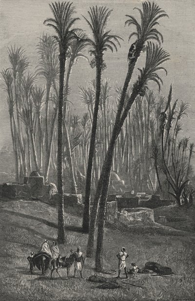 Sahra