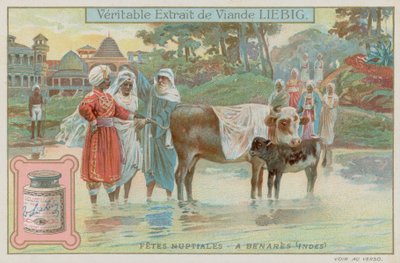 Varanasi düğün gelenekleri by European School