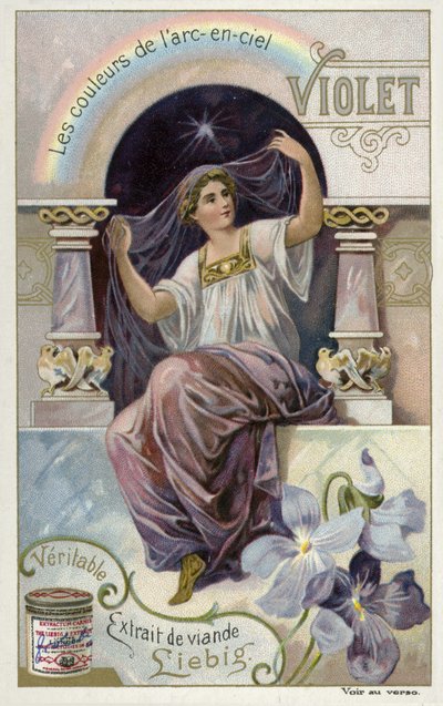 Menekşe by European School