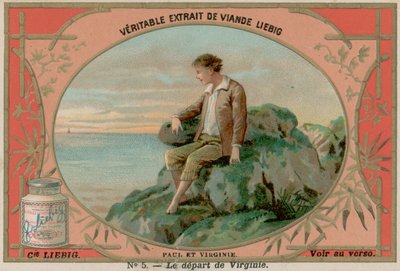 bakire yaprakları by European School
