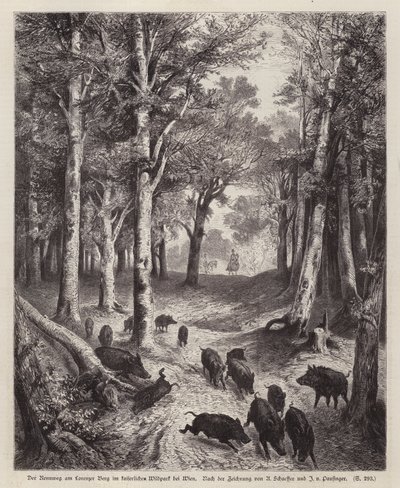 Viyana, Avusturya