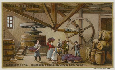 Şarap yapımı: Hospices de Beaune, Clos de Vougeot, Burgundy, Fransa