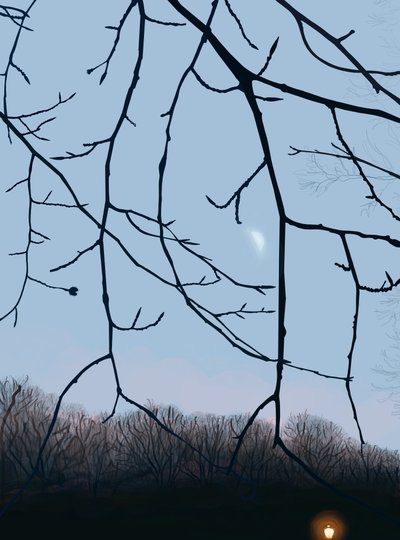  by Evan Sklar