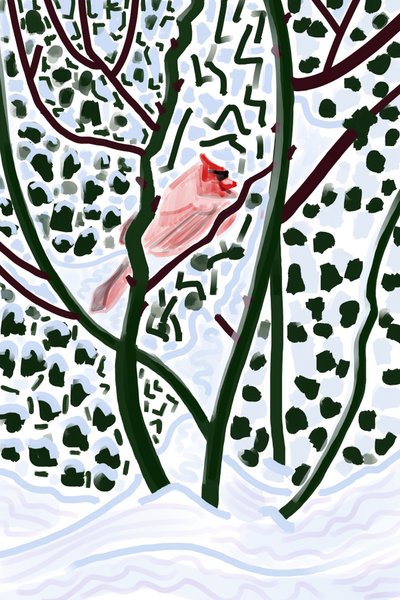  by Evan Sklar