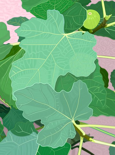  by Evan Sklar