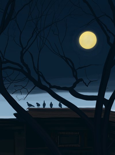  by Evan Sklar
