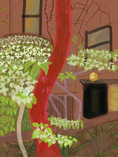  by Evan Sklar