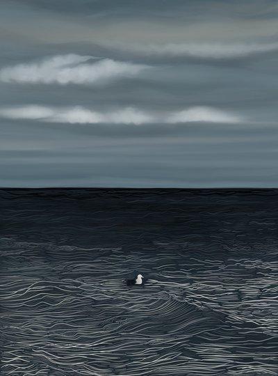  by Evan Sklar