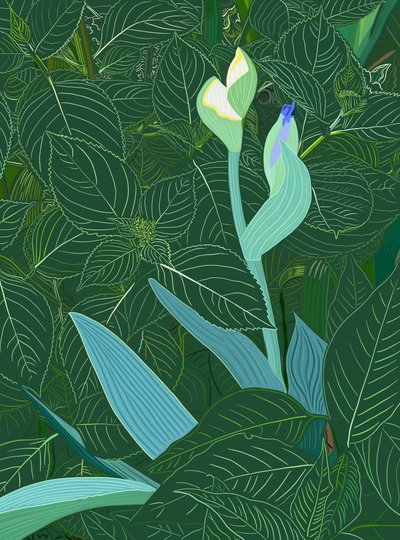 by Evan Sklar