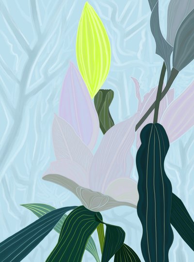  by Evan Sklar