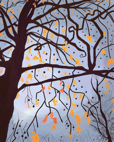  by Evan Sklar