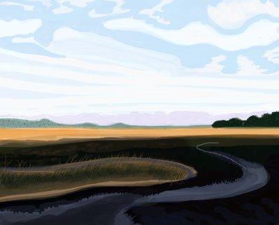 Low Country, 2016 (iPad üzerinde Apple kalem ile elle çizilmiştir) by Evan Sklar