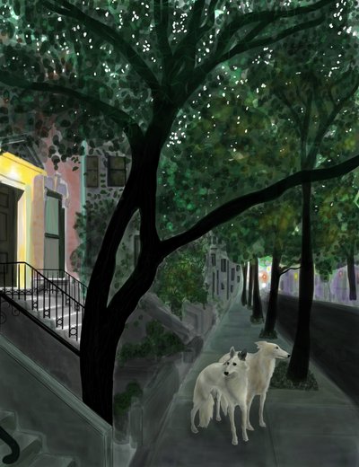  by Evan Sklar