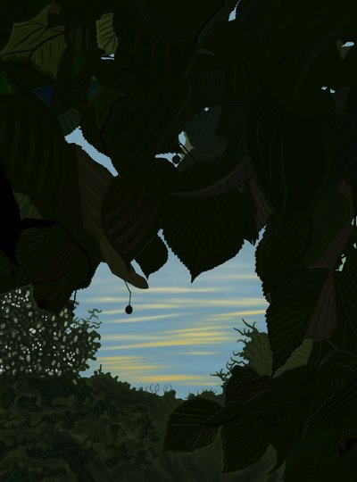  by Evan Sklar