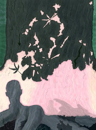  by Evan Sklar