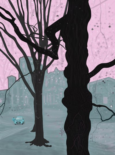  by Evan Sklar
