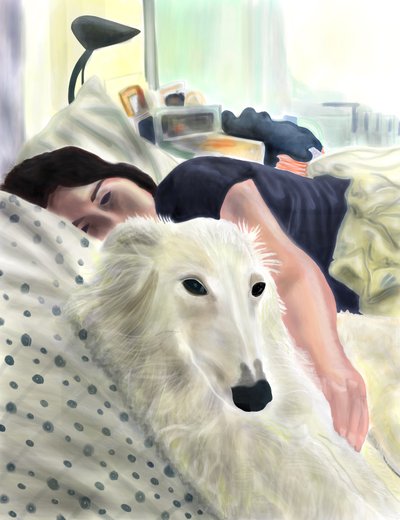  by Evan Sklar