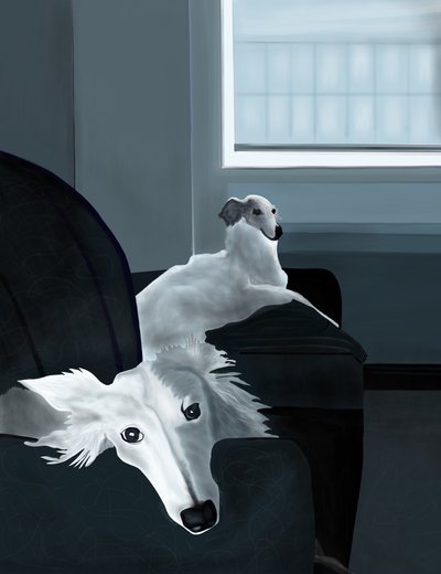  by Evan Sklar