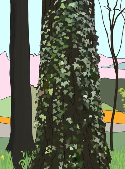  by Evan Sklar