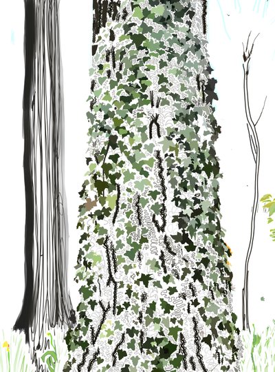  by Evan Sklar
