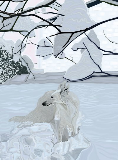  by Evan Sklar